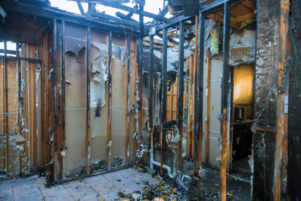 Professional Fire Damage Removal technician working in North Utica, IL